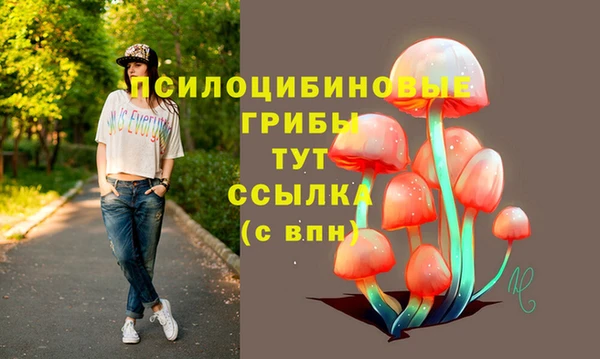 метамфетамин Алексеевка